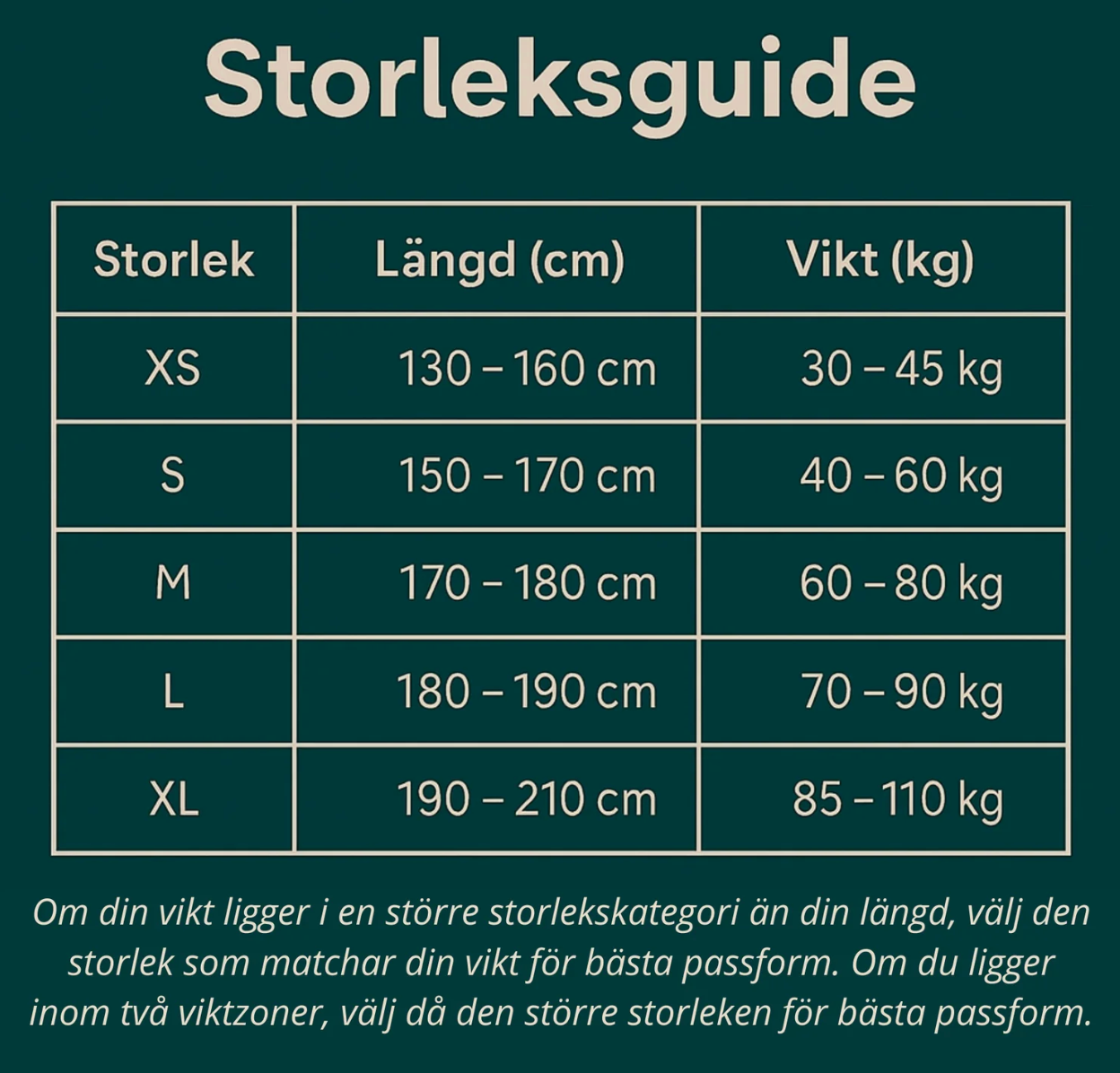 Rygghållare - Lindrar ryggont och förbättrar hållningen