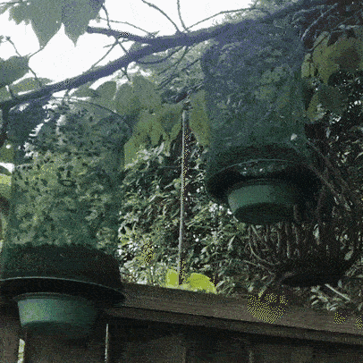 Upphängningsbar insektsfälla – Giftfri lösning för mygg, flugor och getingar