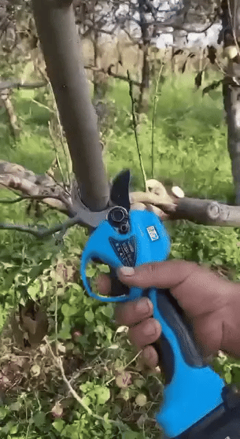 Elektrisk sekatør med litiumbatteri 20v