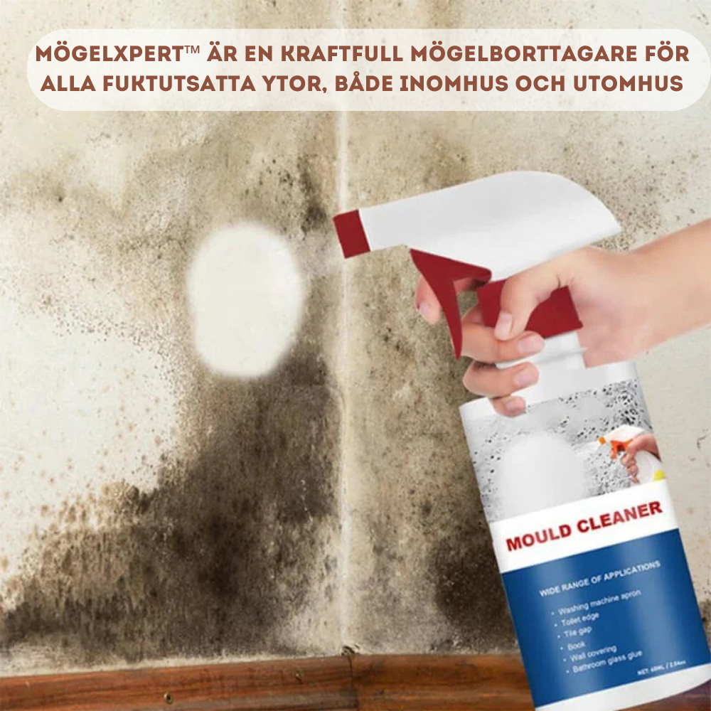 Mold expert - efficient removal of mold and moisture stains