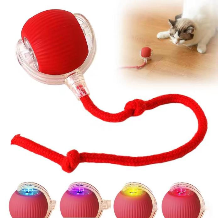 PawMotion – Interaktiv hundleksak med sensorstyrd rörelse