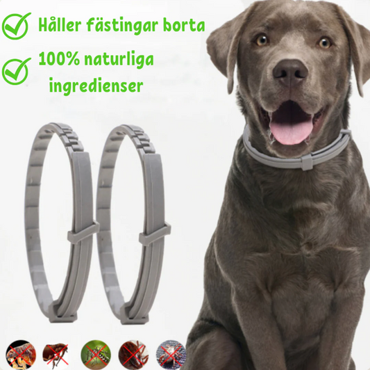 FästingFree – hunde- og kattehalsbånd