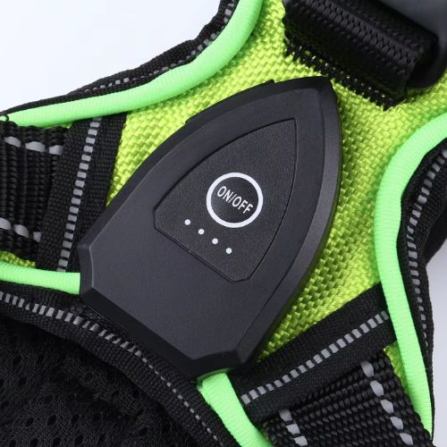 Lysande Hundsele – för maximal säkerhet