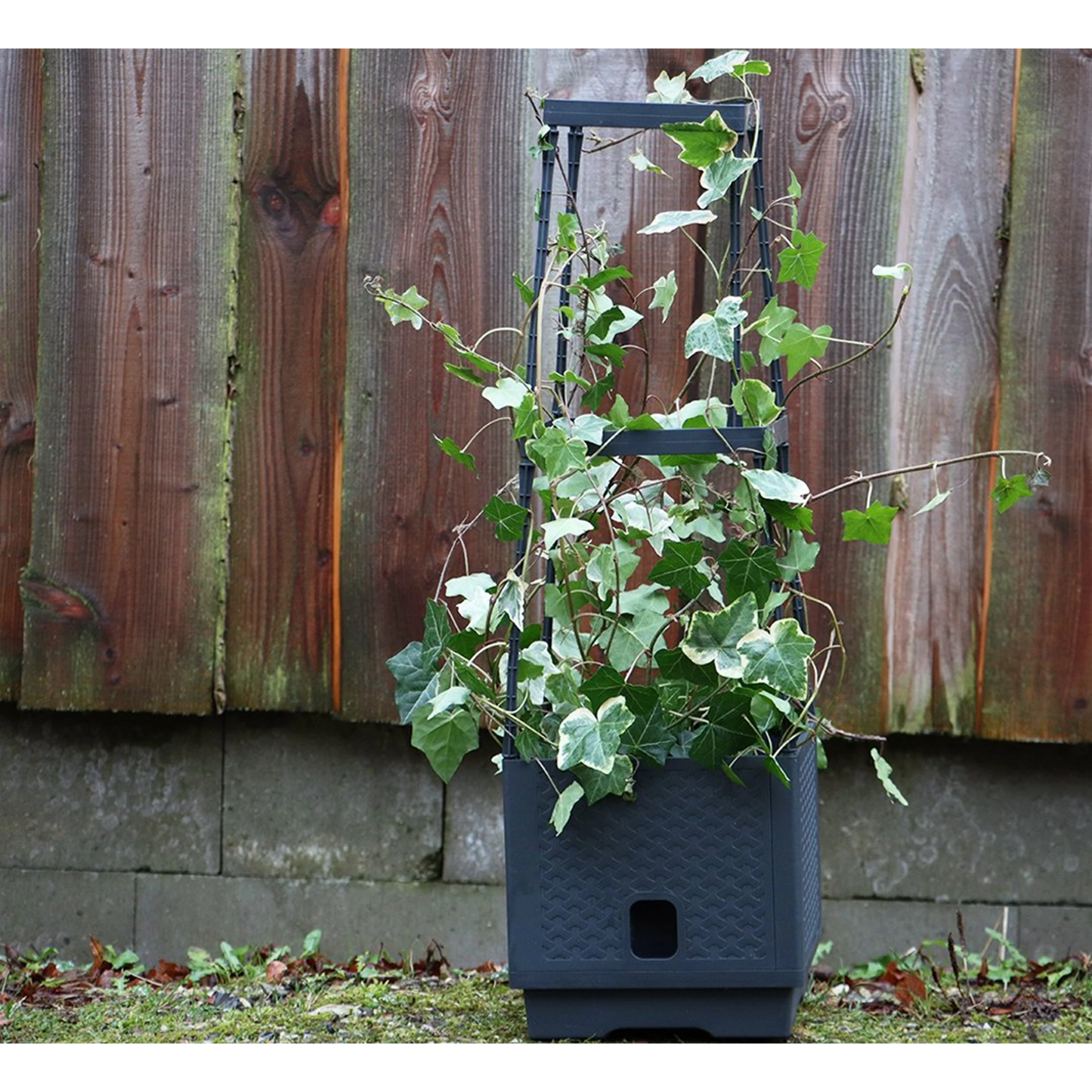 Selvvandende plantetårn med espalier - til blomster og klatreplanter