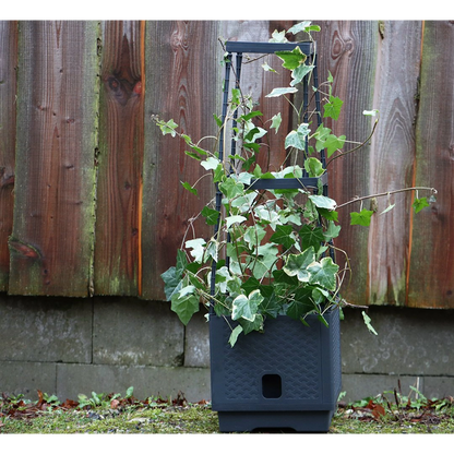 Selvvandende plantetårn med espalier - til blomster og klatreplanter