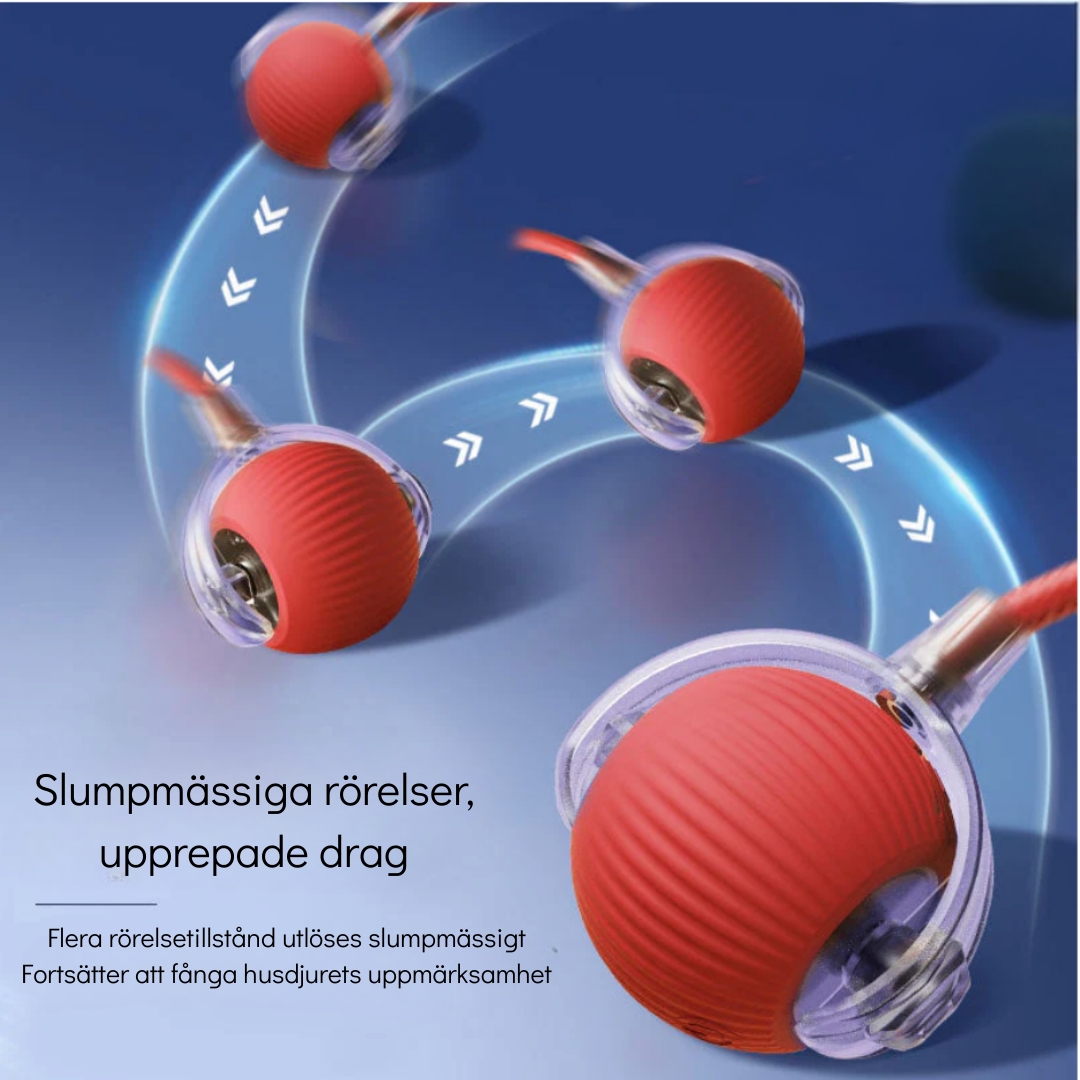 PawMotion – Interaktiv hundleksak med sensorstyrd rörelse