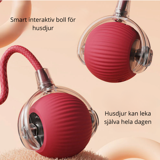 PawMotion – Interaktiv hundleksak med sensorstyrd rörelse