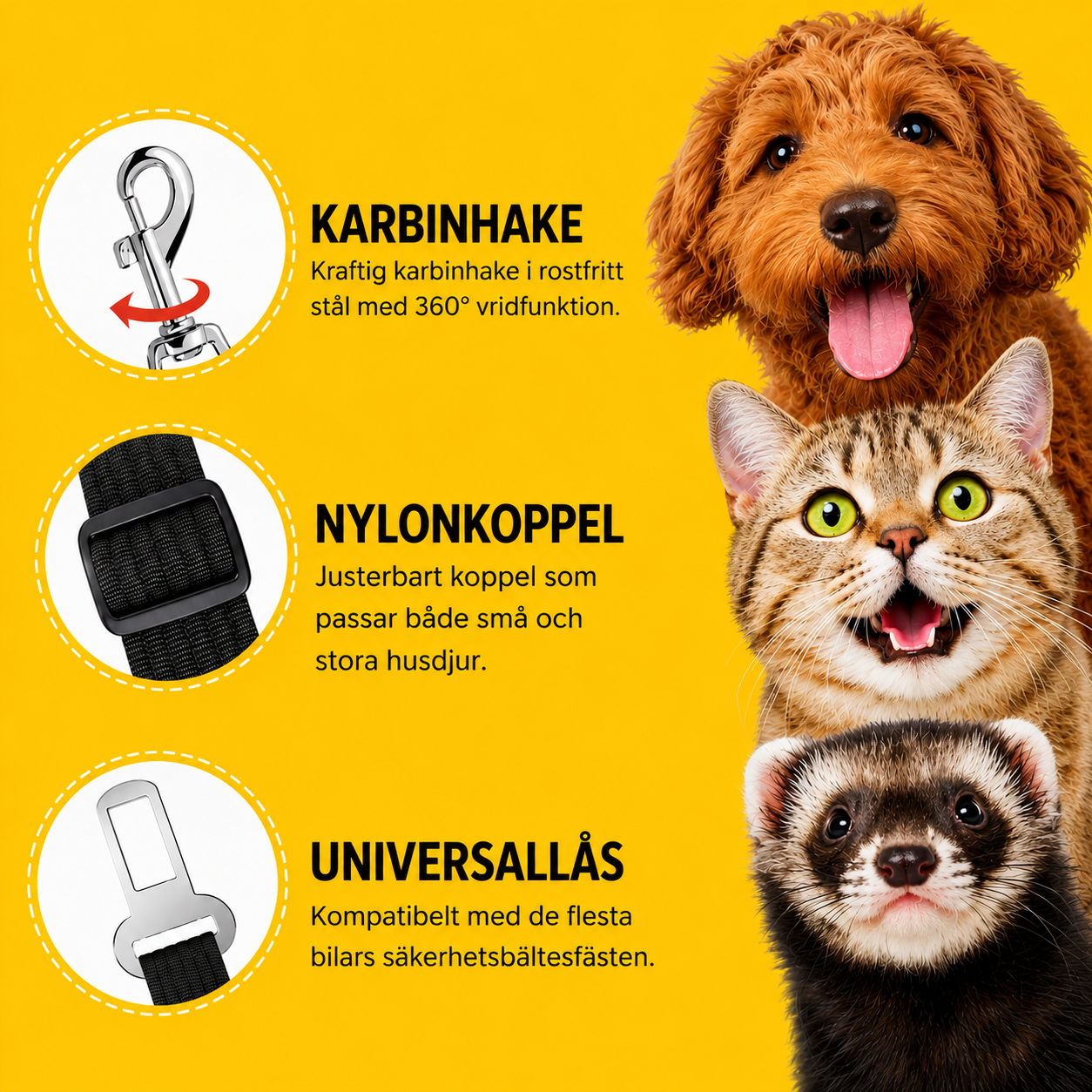 Justerbart säkerhetsbälte
