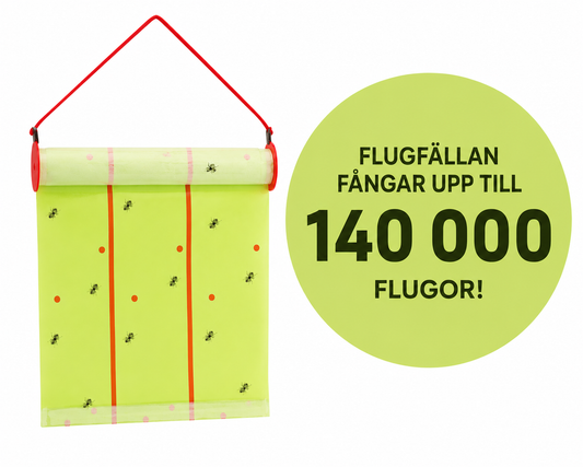 Flugfälla på Rulle