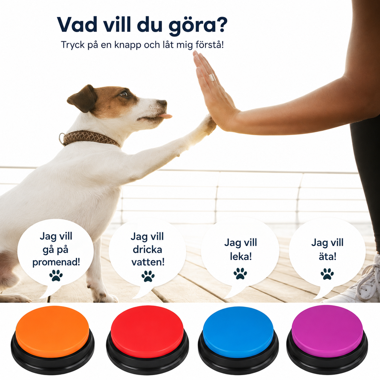 Talande knapp med röstinspelning för hundar och katter