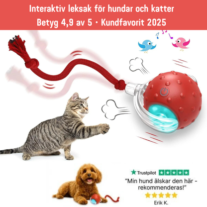 PawMotion – Interaktiv hundleksak med sensorstyrd rörelse