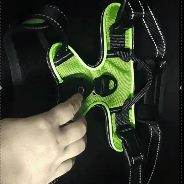 Lysande Hundsele – för maximal säkerhet