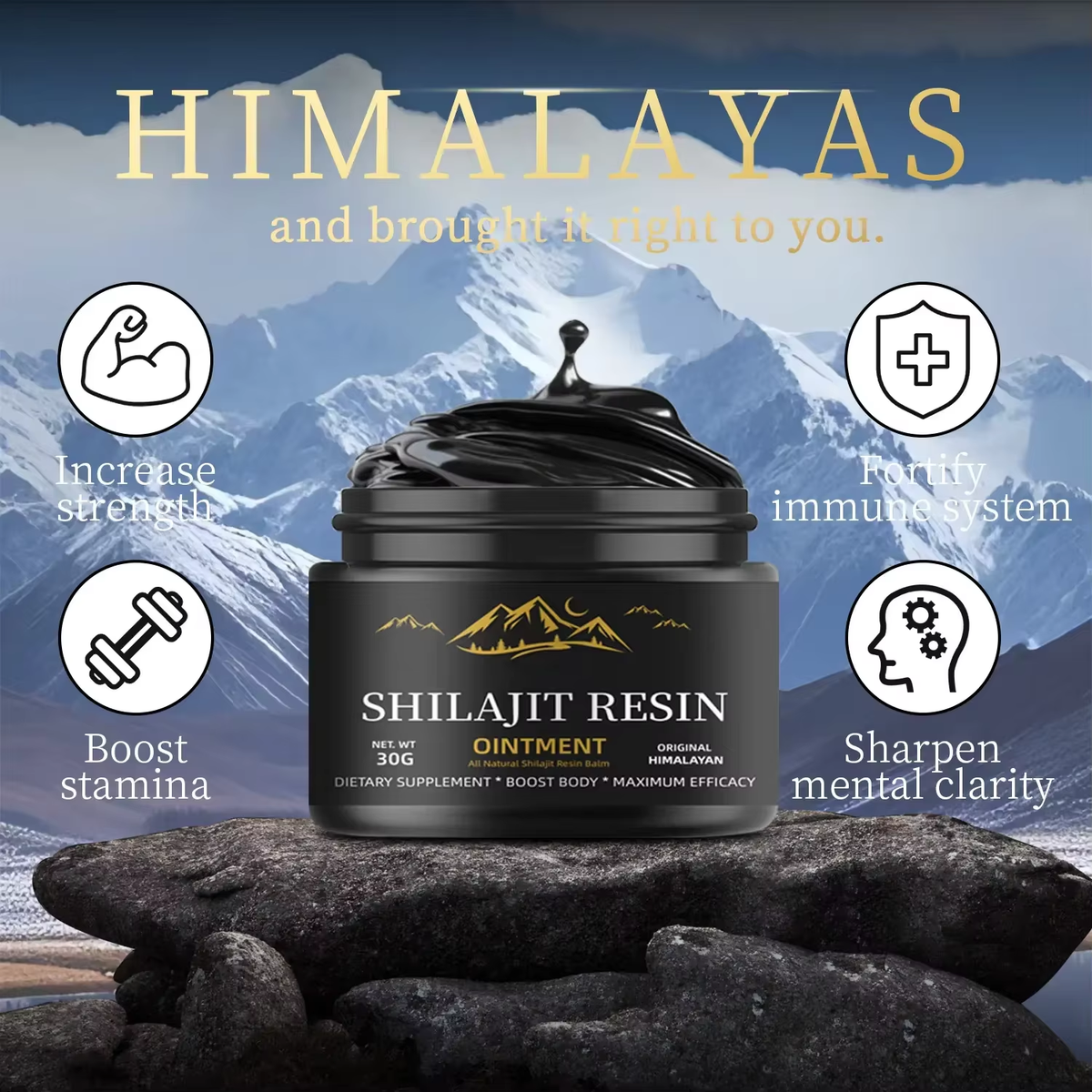 SHILAJIT RESIN 50 G
