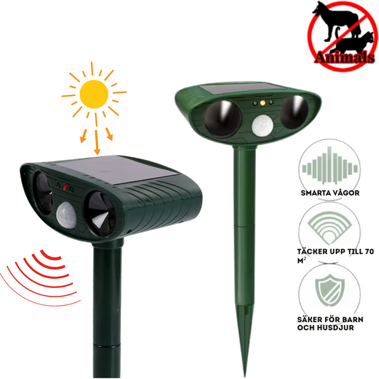 Astré de asunto anti-animal