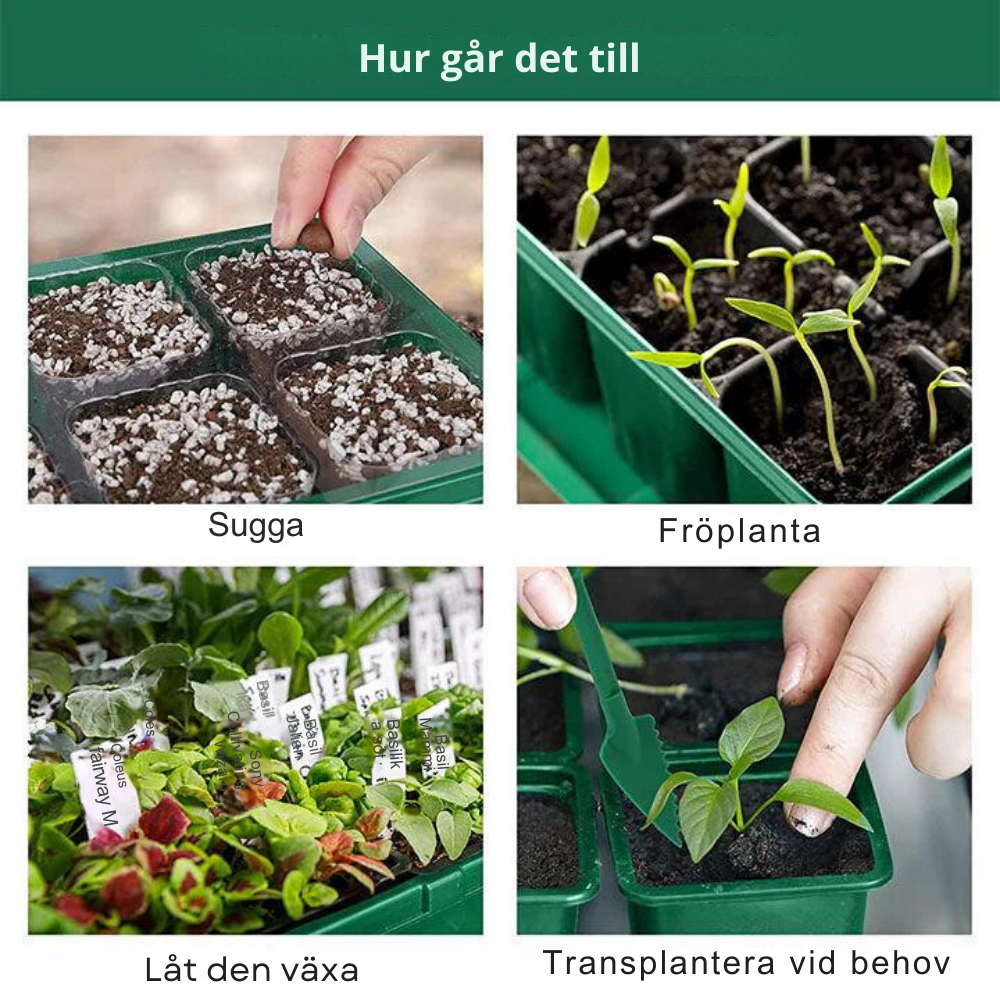 Inomhusväxthus med LED och luftcirkulation