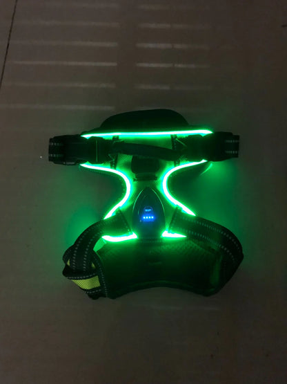 Lysande Hundsele – för maximal säkerhet