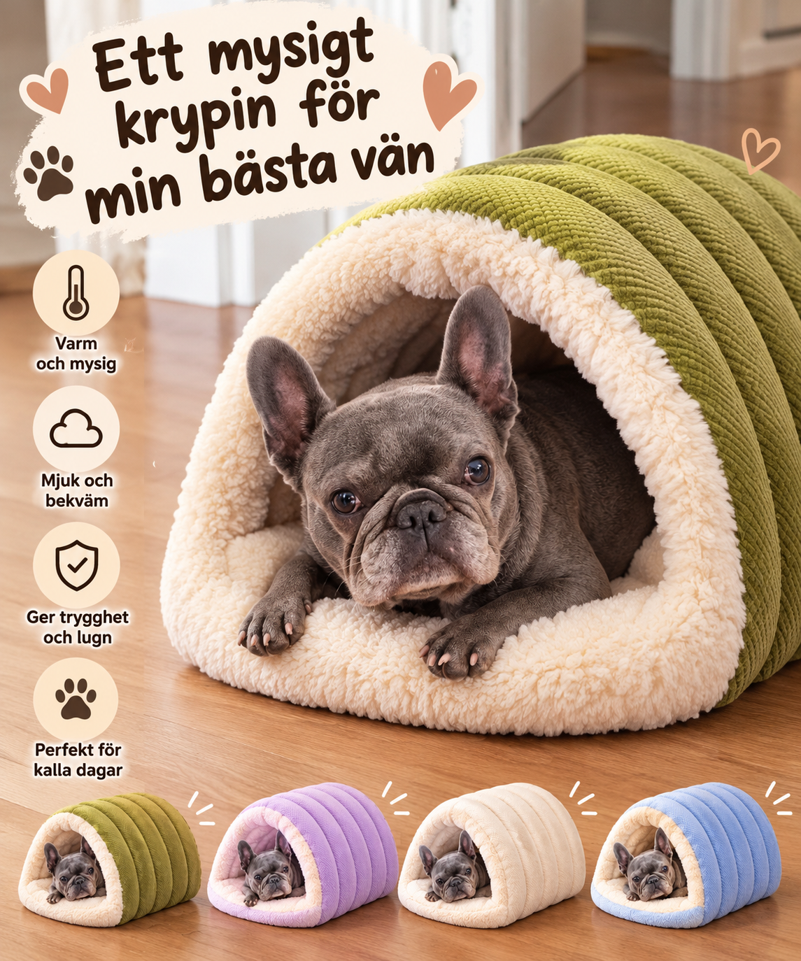 Fransk bulldogg i mysig hundbädd med tak – reklamkort